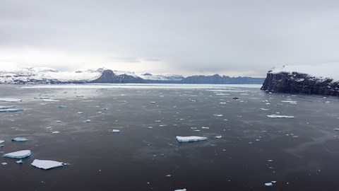 The government is investigating possibilities for new polar research vessel